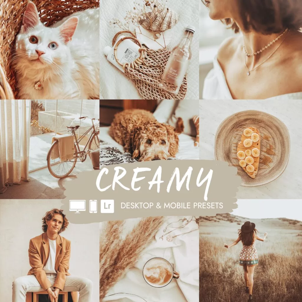Creamy Product Image